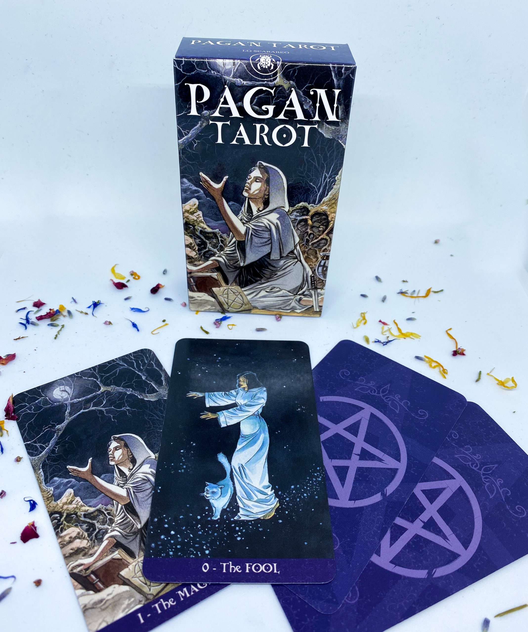 Pagan tarot kortit
